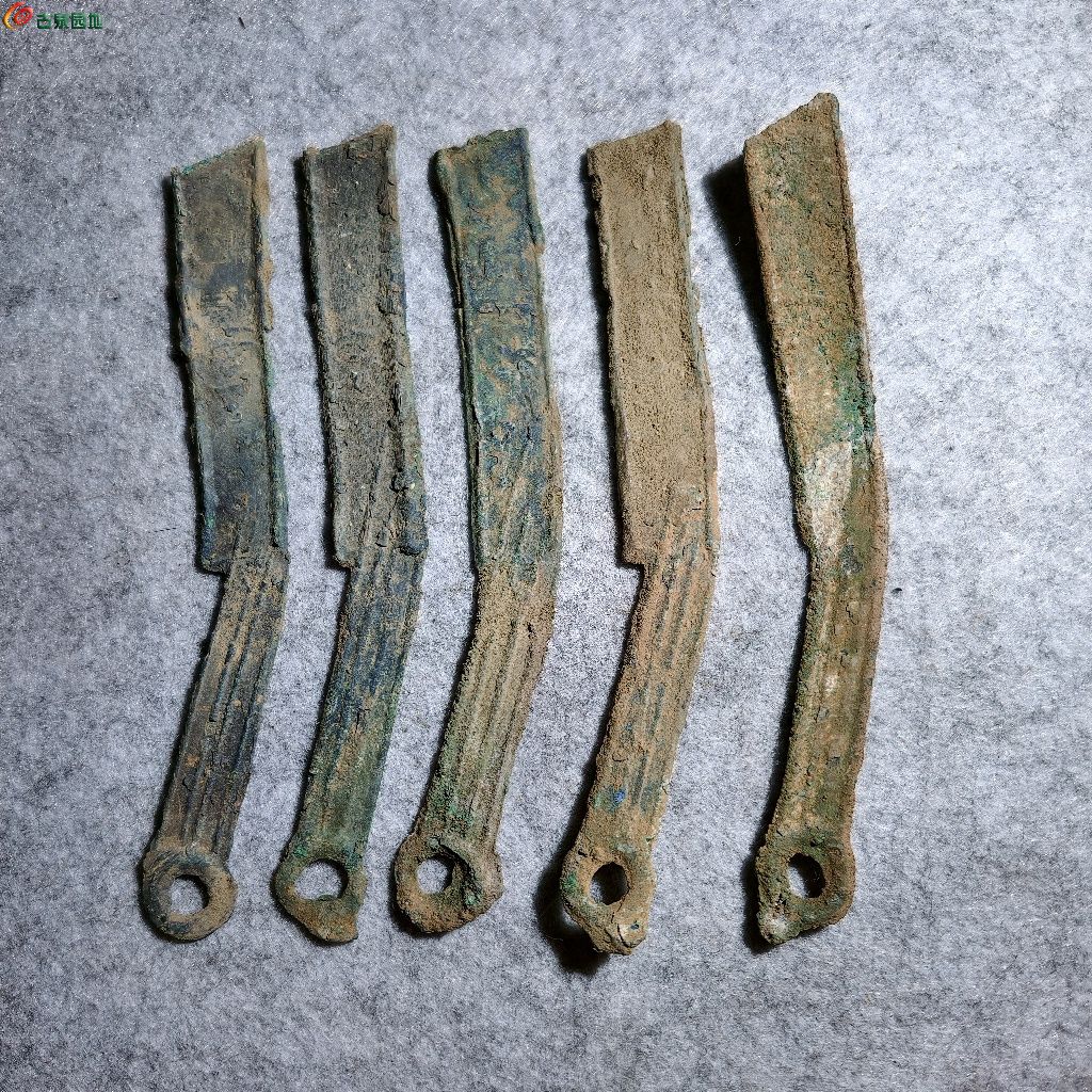 1775447170874.xfile.jpg