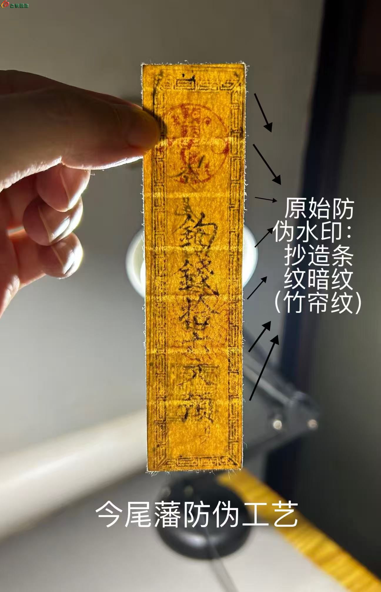 9697B854-935A-4522-B022-6AB6335950FB.jpe
