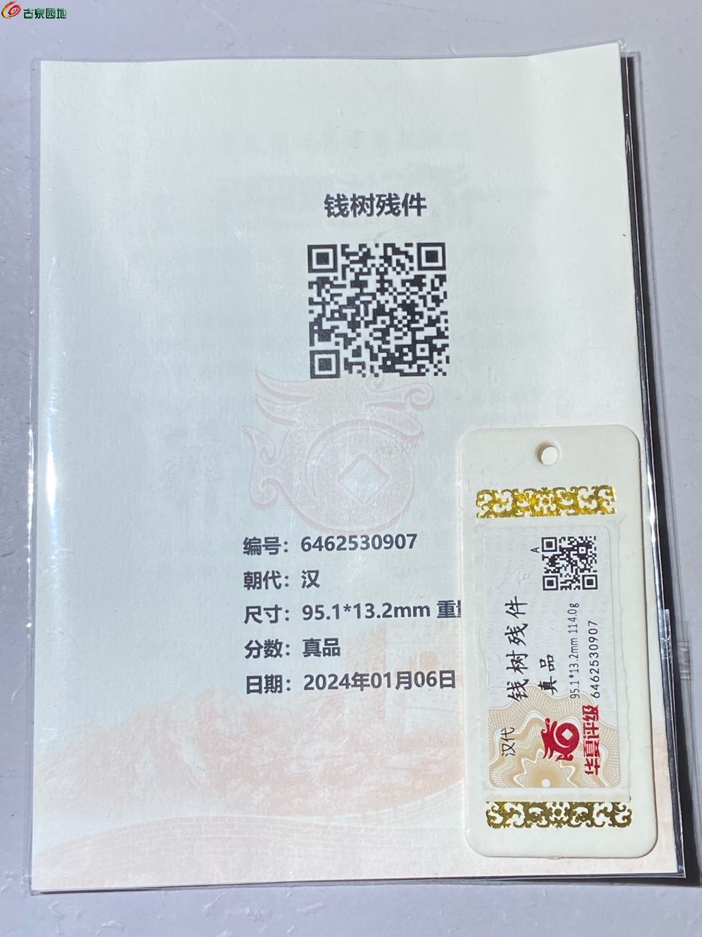 1775802109408.xfile.jpg