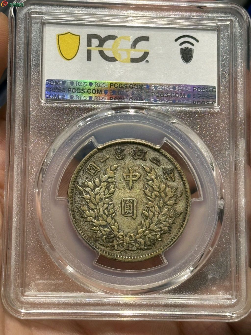 1776045397201.xfile.jpg