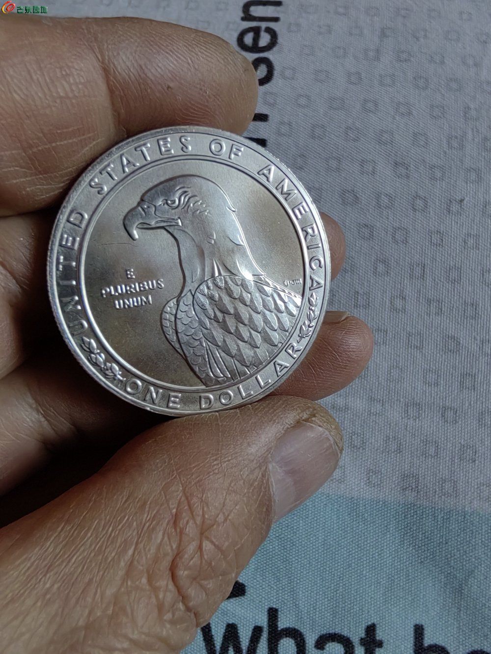 IMG_20260225_090258_edit_219570450079385