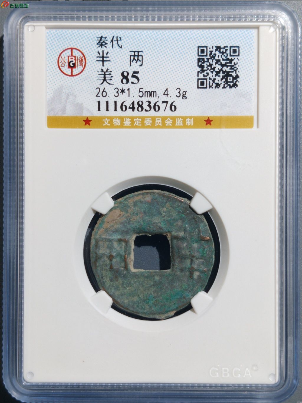 1772089777803.xfile.jpg