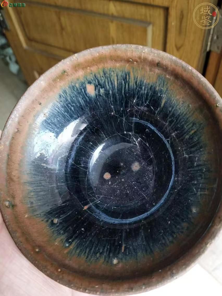 1772066320739.jpg
