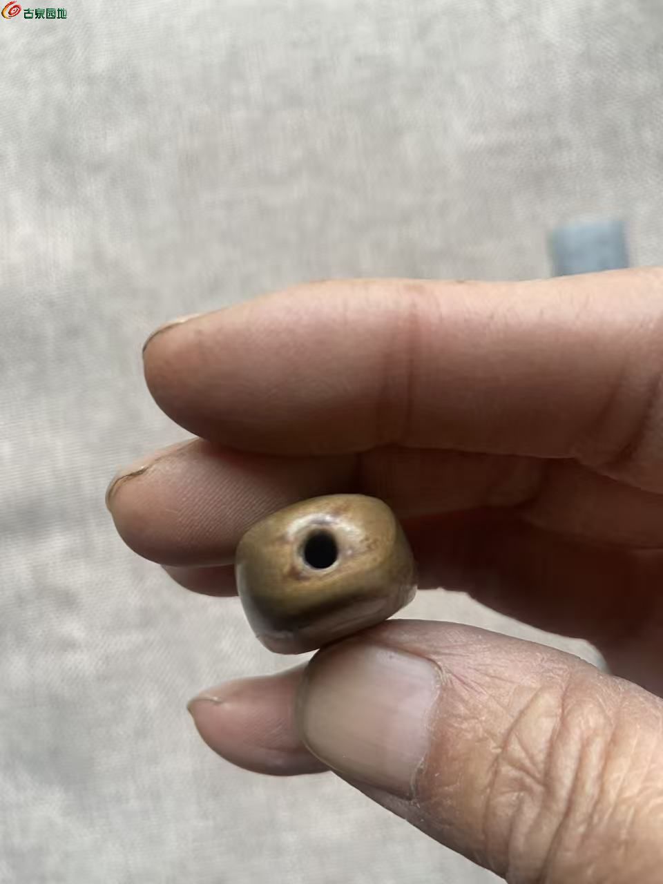 微信图片_20260303095025_1284_3.jpg