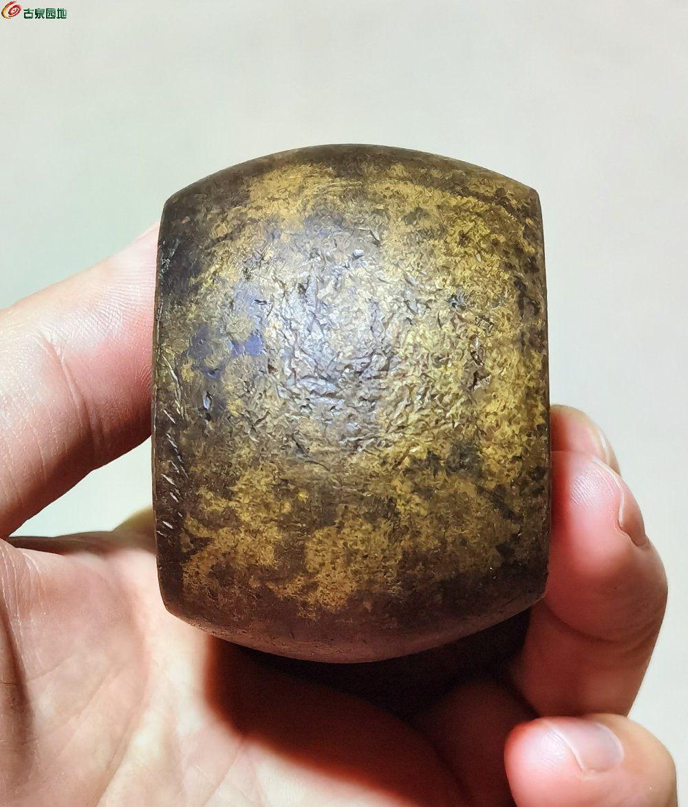 IMG_20260304_102557_edit_227167578640753