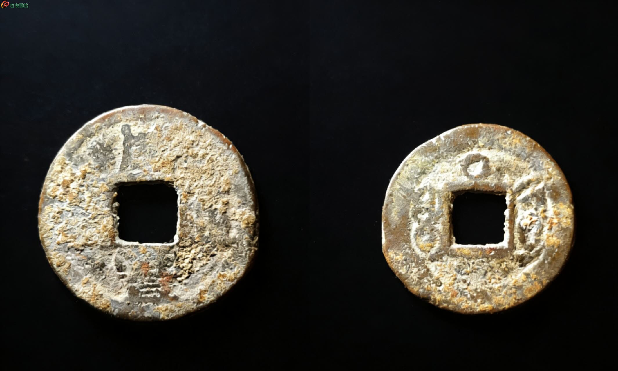 11908.jpg