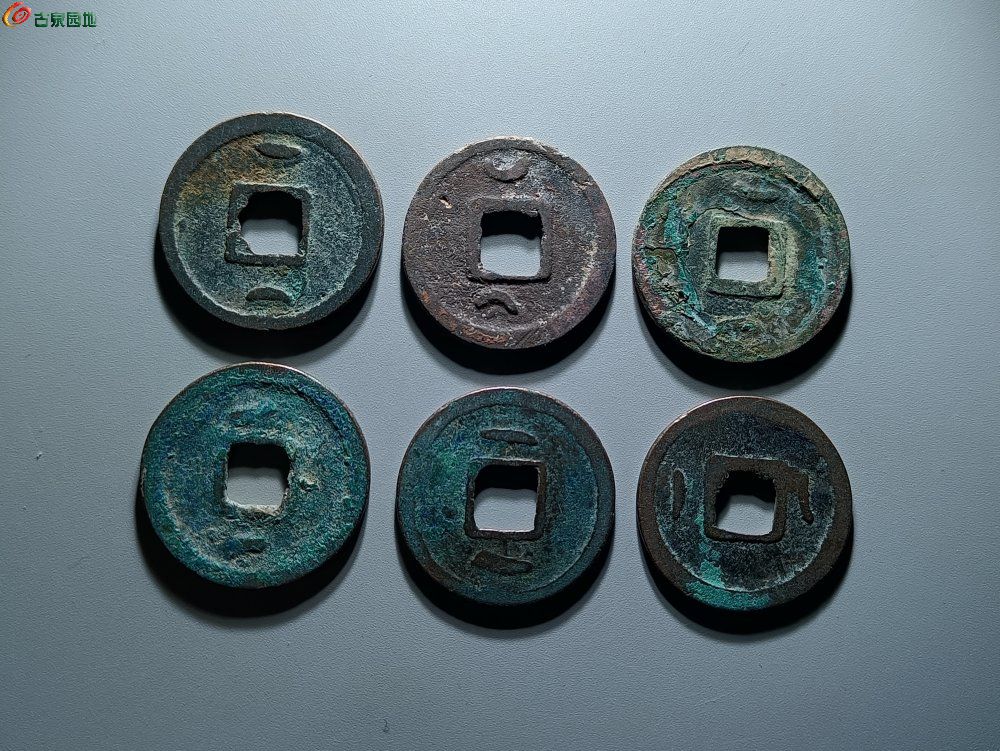 IMG_20260211_122304_edit_348861351749945