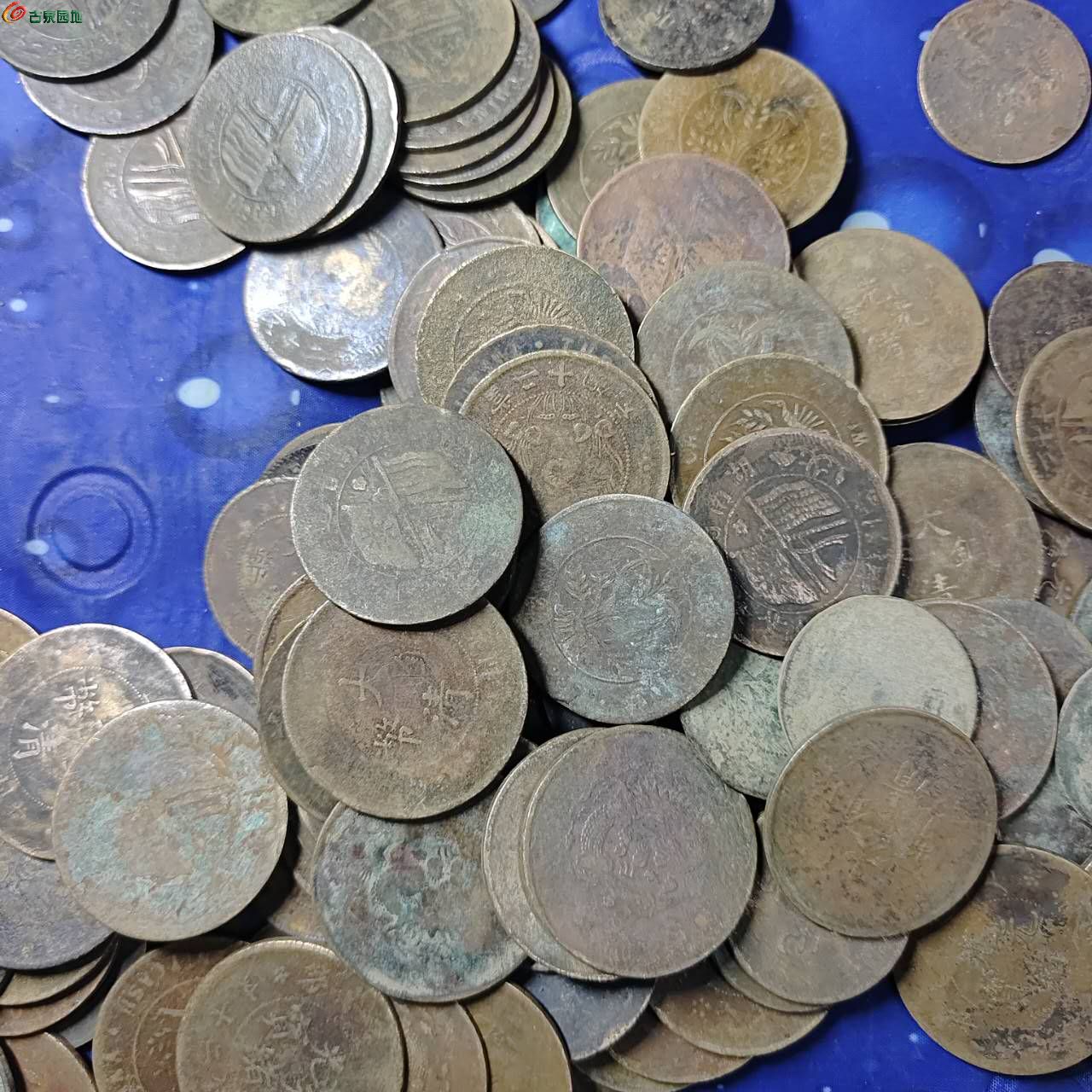 17487.jpg