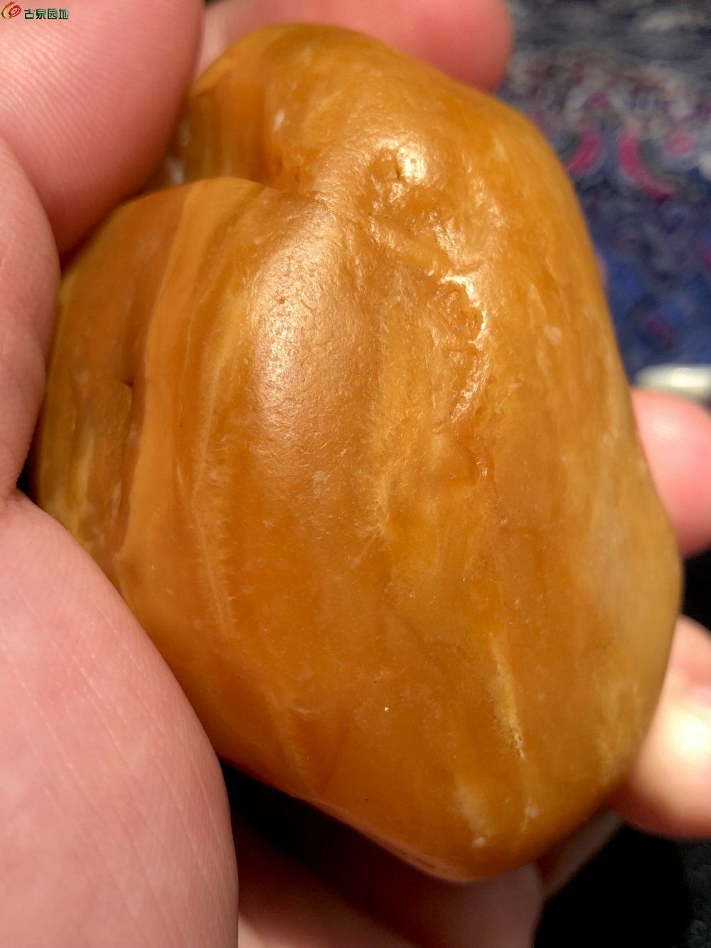 旧藏 老包浆 寿山田黄冻石2.jpg