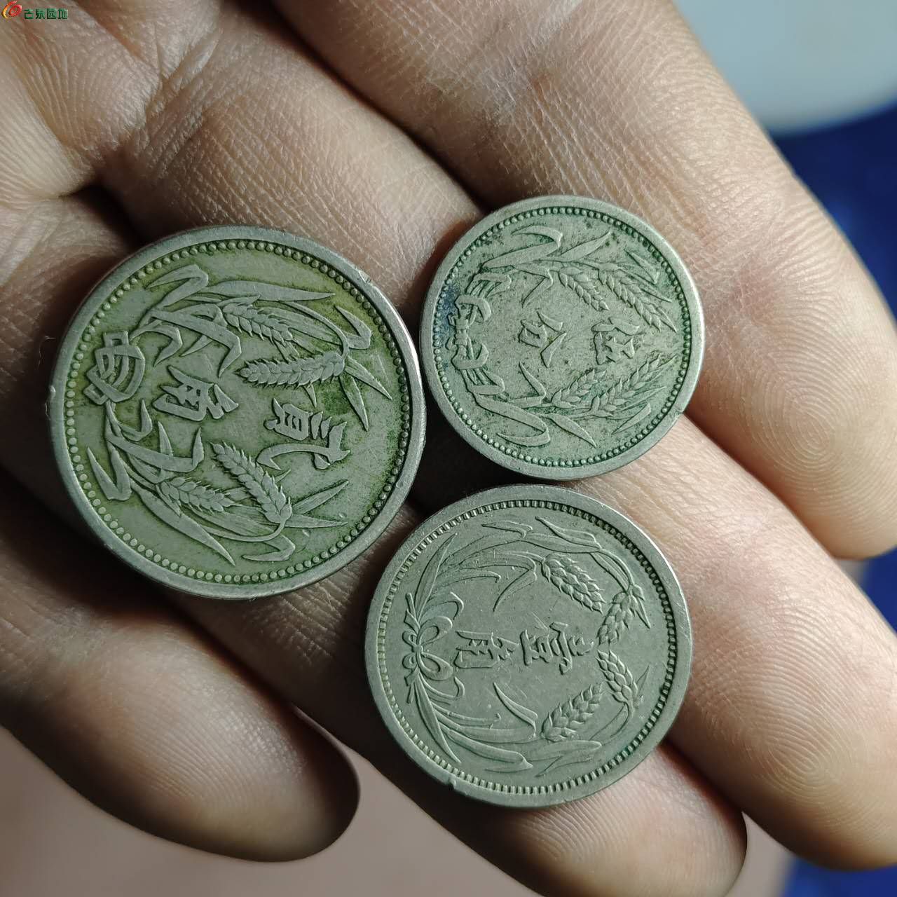 56671.jpg
