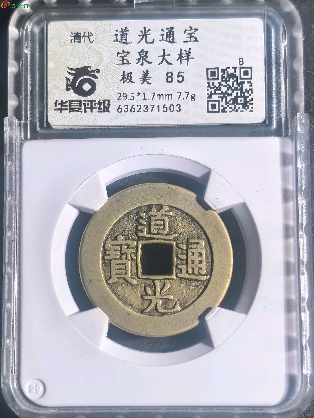 1773451392548.xfile.jpg