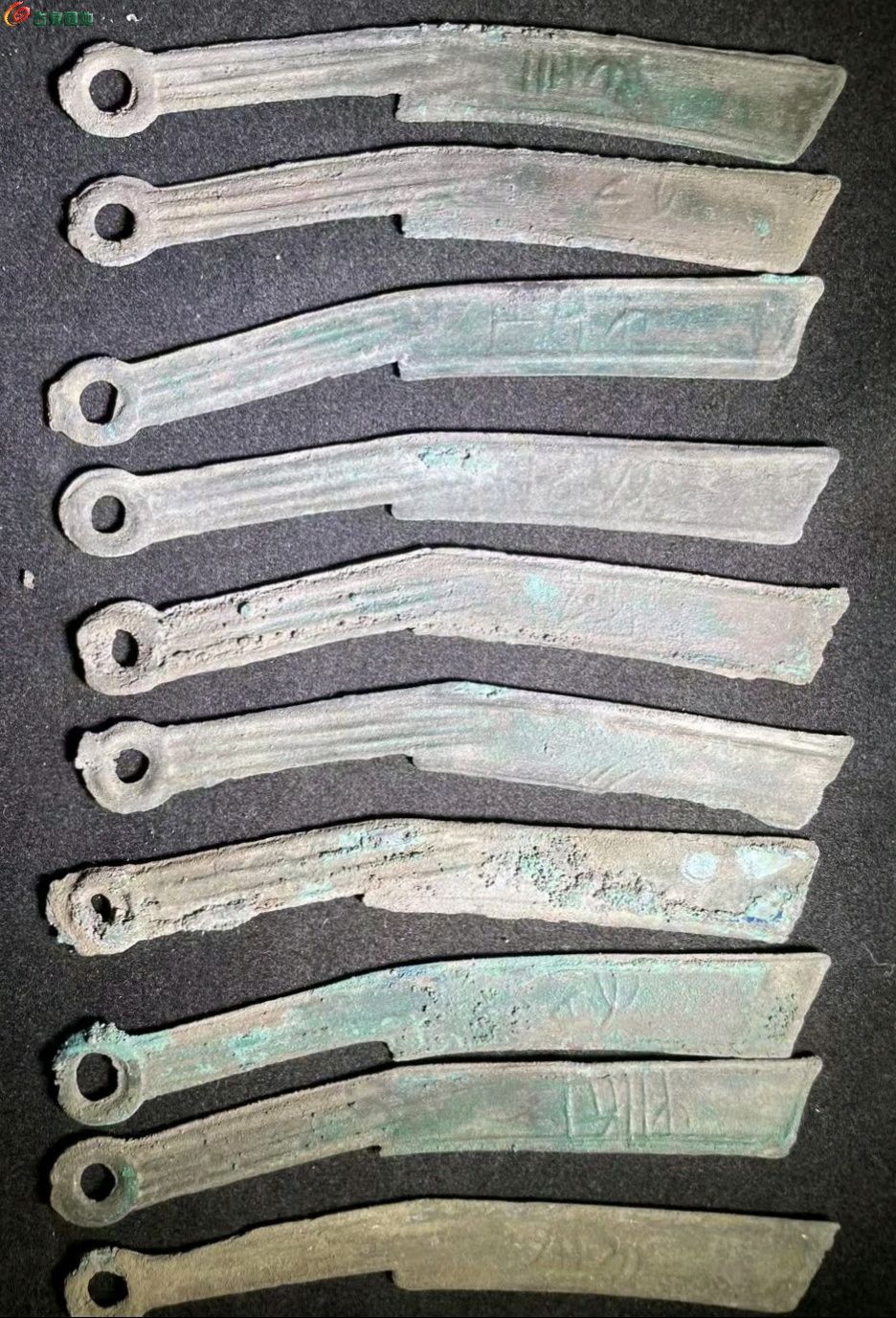 1773486515646.xfile.jpg