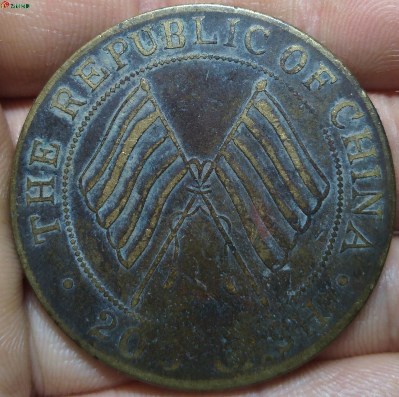 64119.jpg
