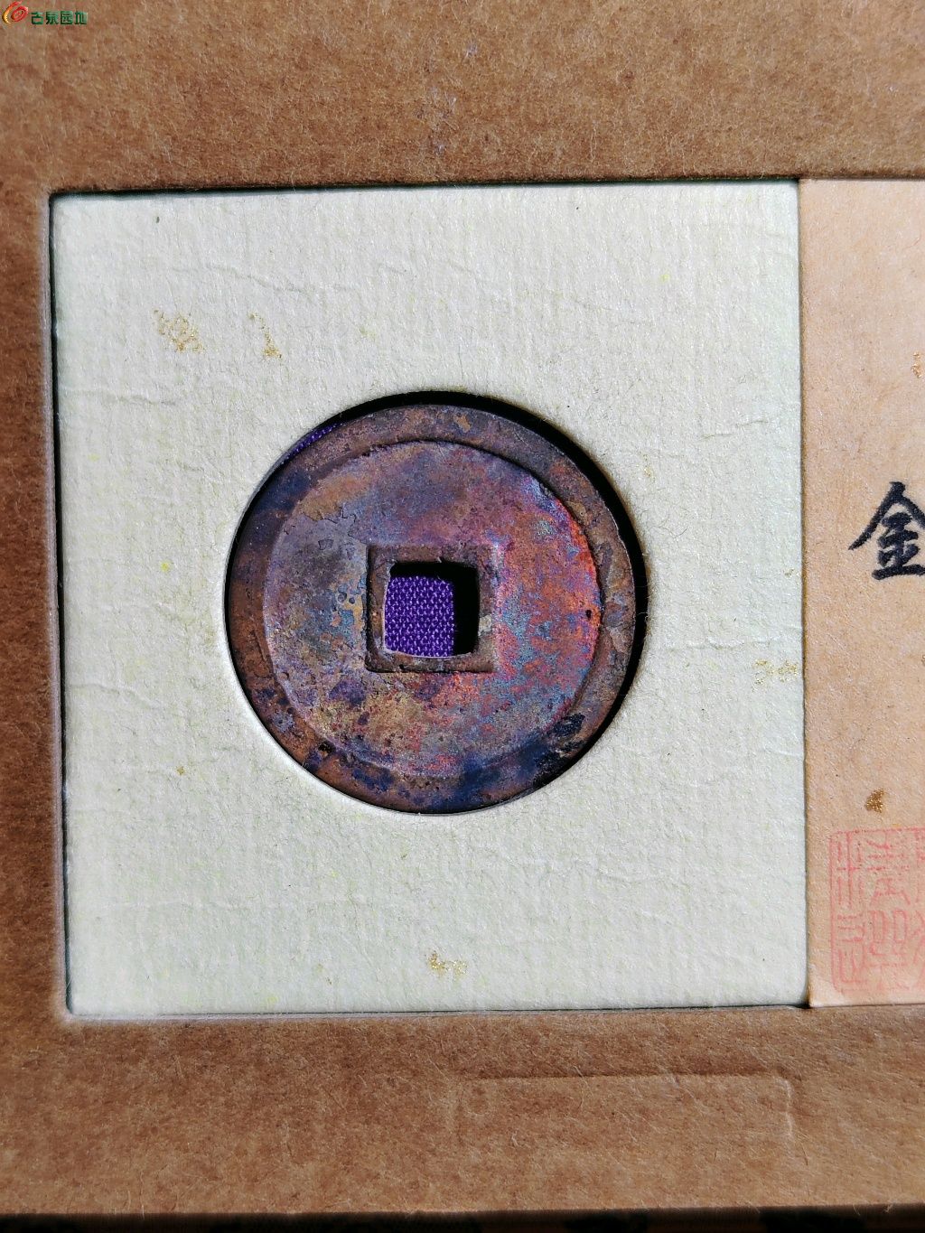 1774072596940.xfile.jpg