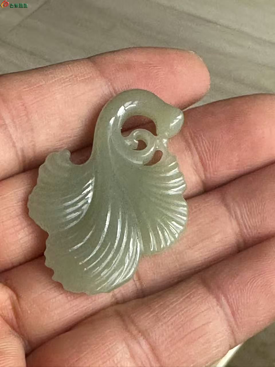 微信图片_202602251545343.jpg