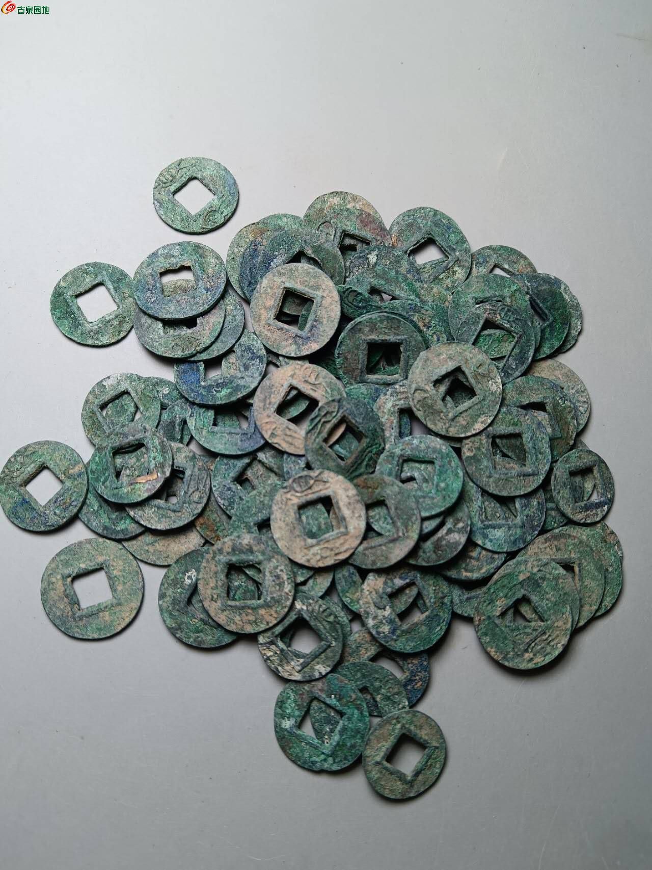 35989.jpg