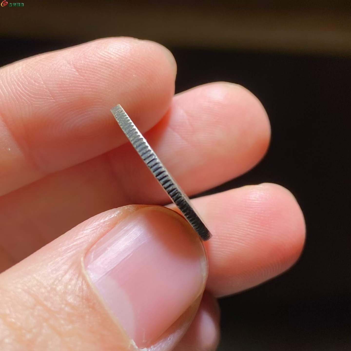 兩芈^ 2026-03-03 14.46.10.jpeg