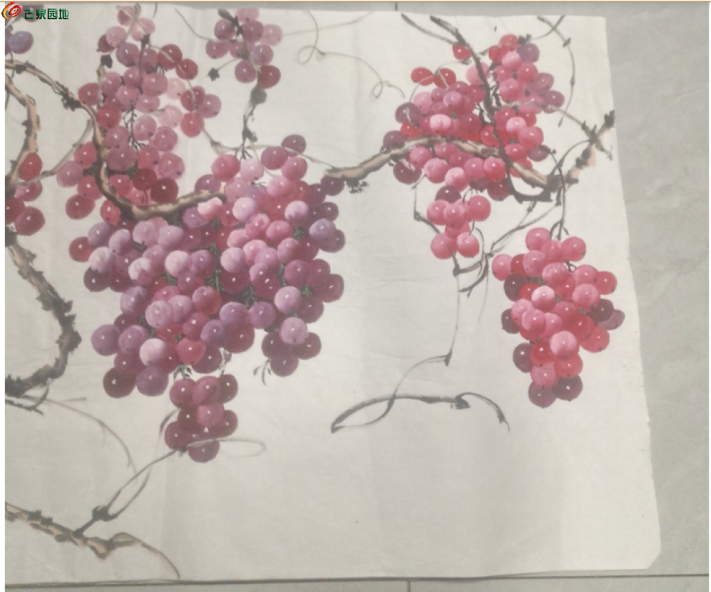 截取图片_20260325212057.png