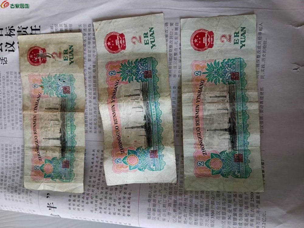 52004.jpg