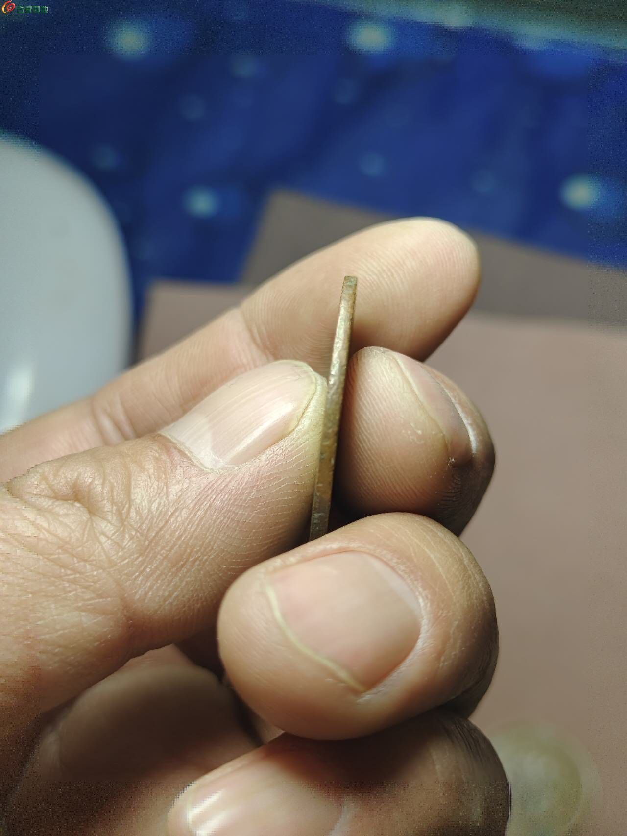 77281.jpg