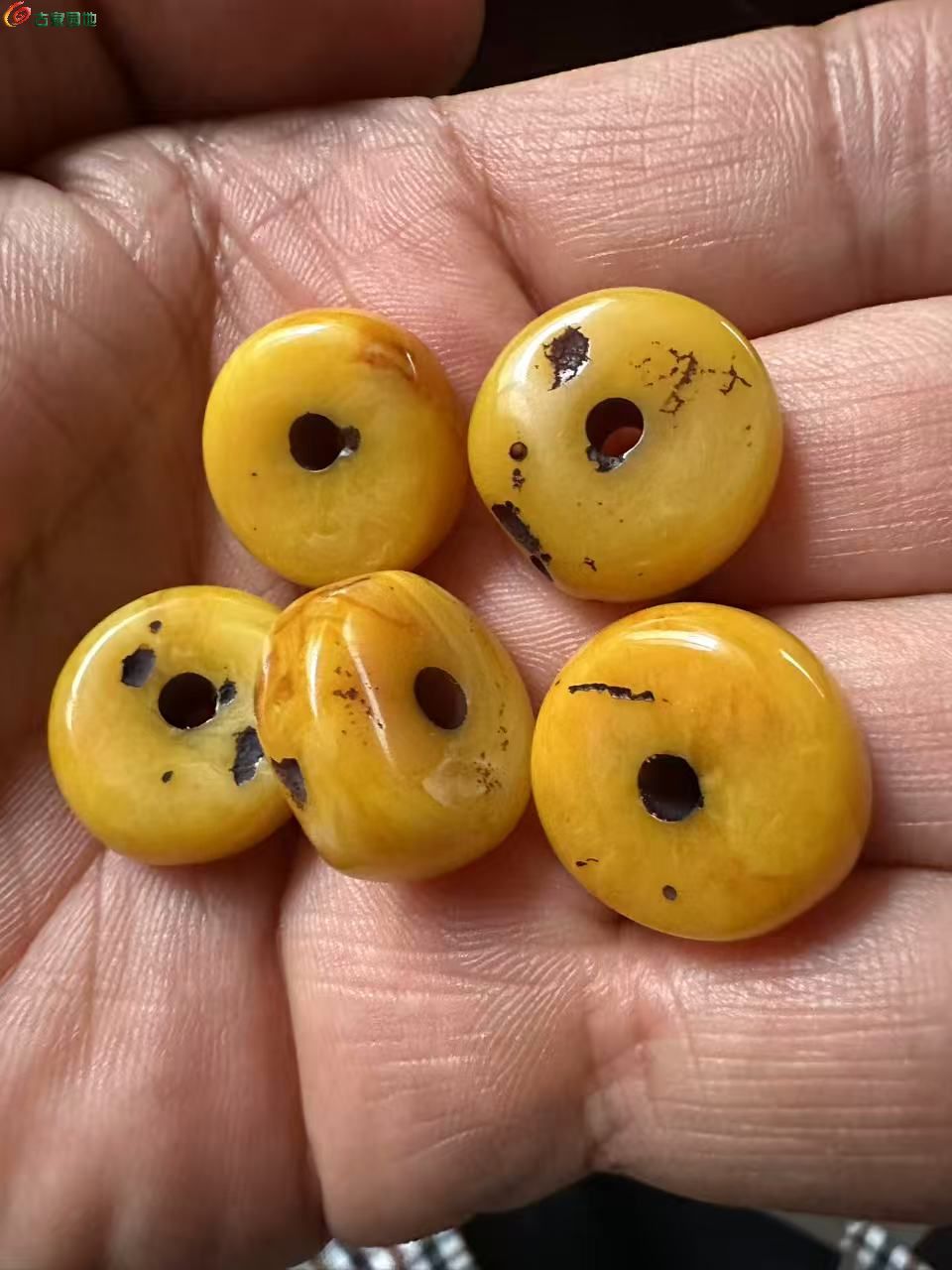 微信图片_20260330151909.jpg
