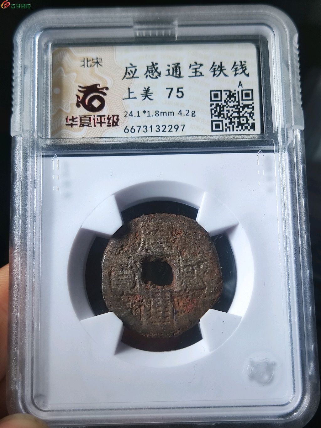 1774938614136.xfile.jpg