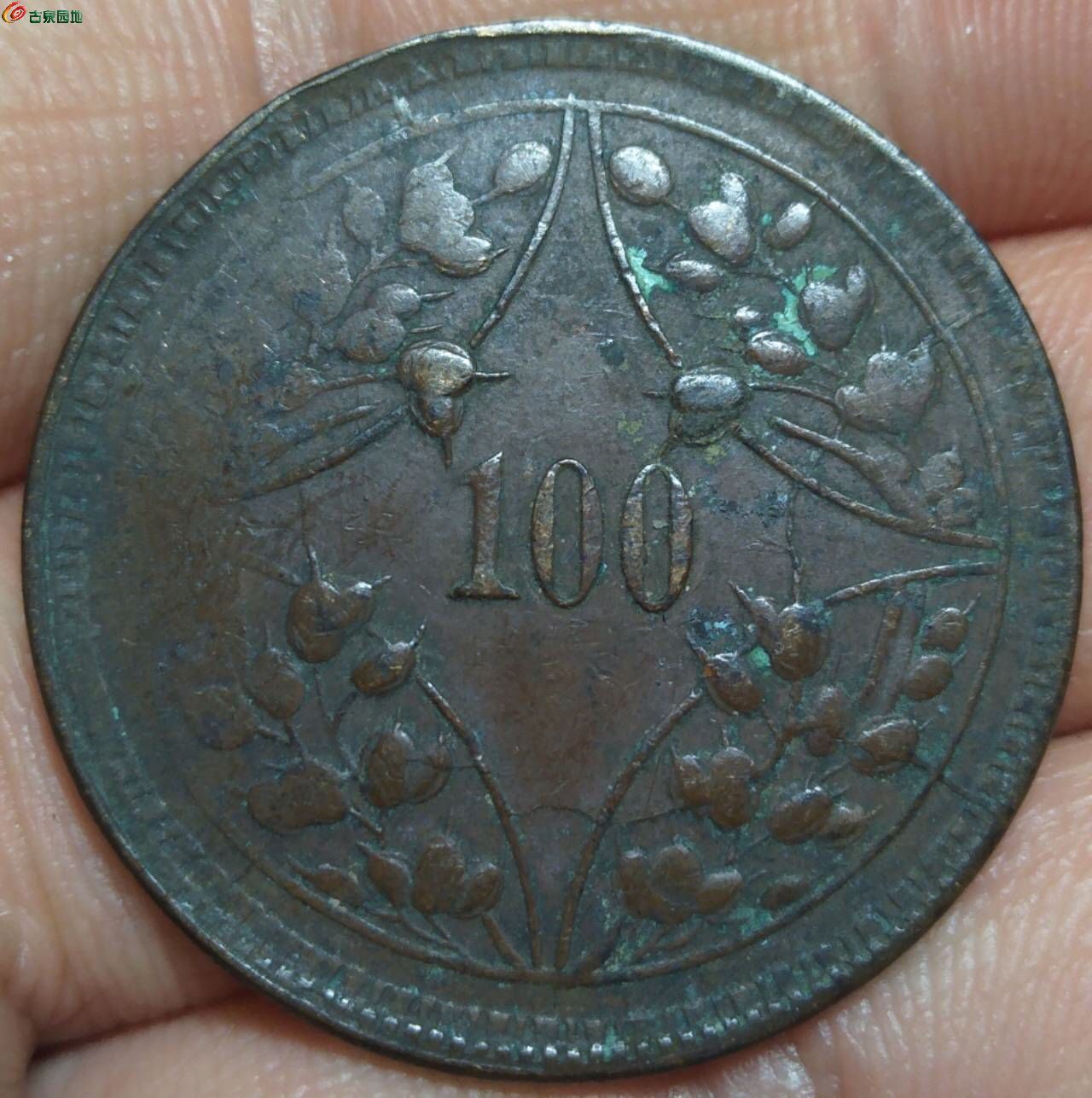 42926.jpg