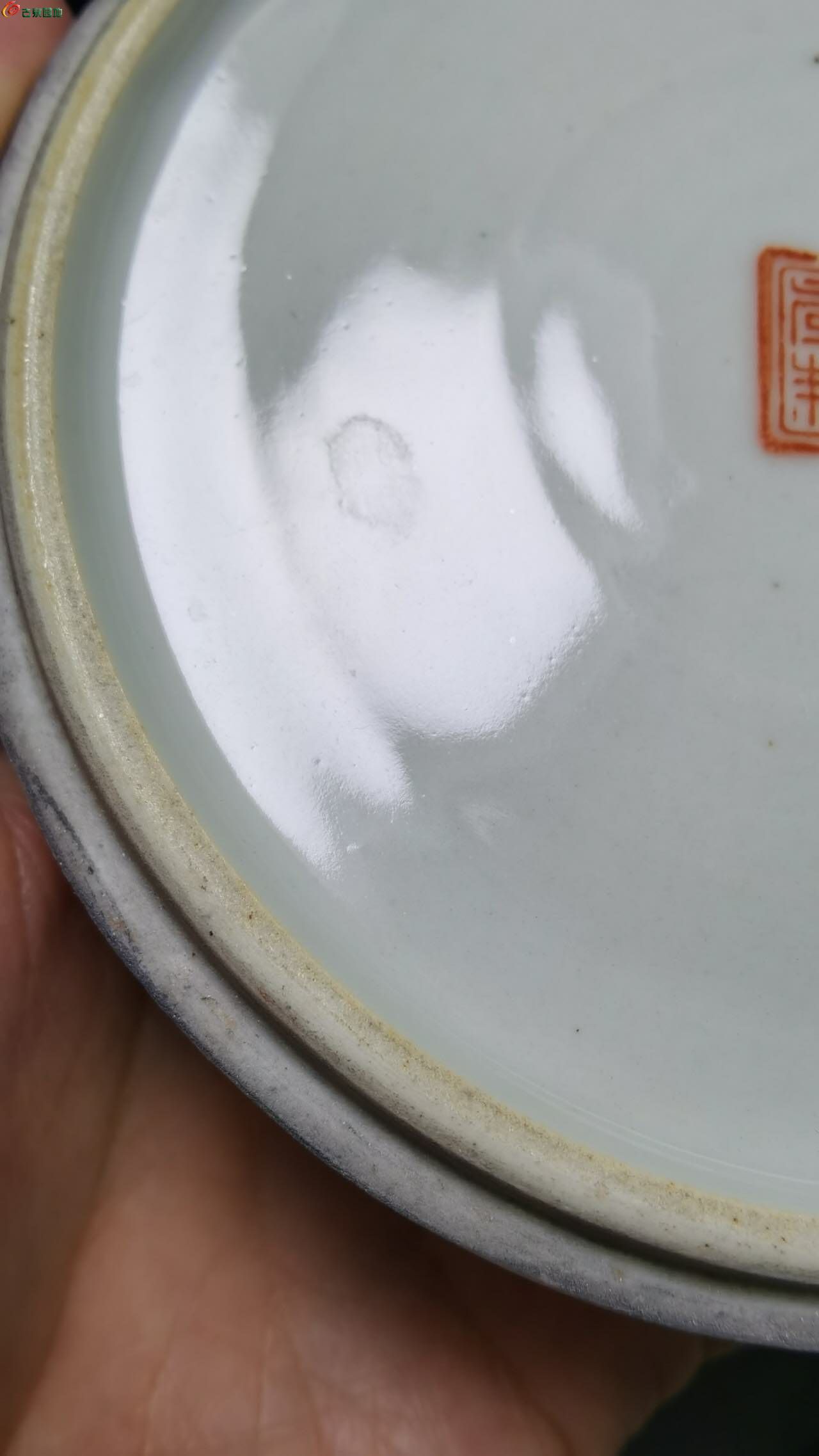 53347.jpg