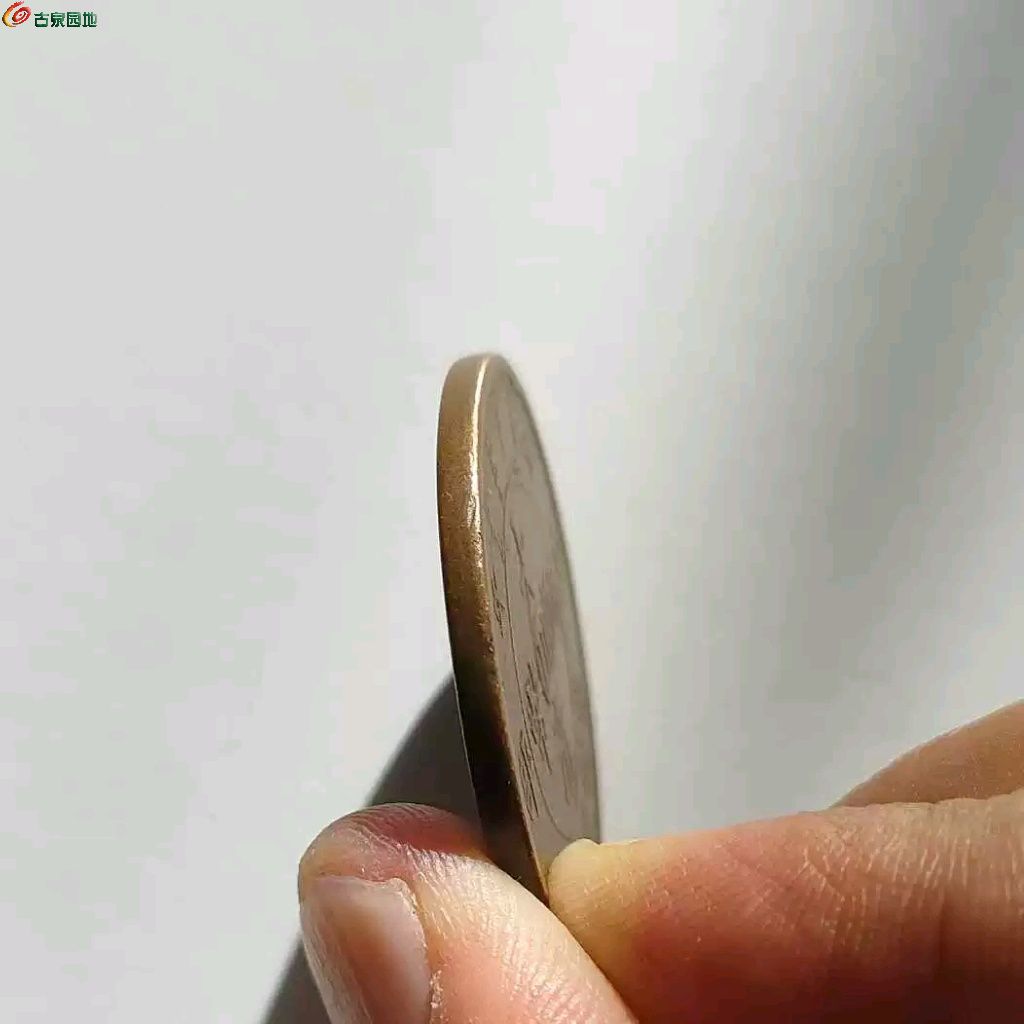 1775225205860.xfile.jpg