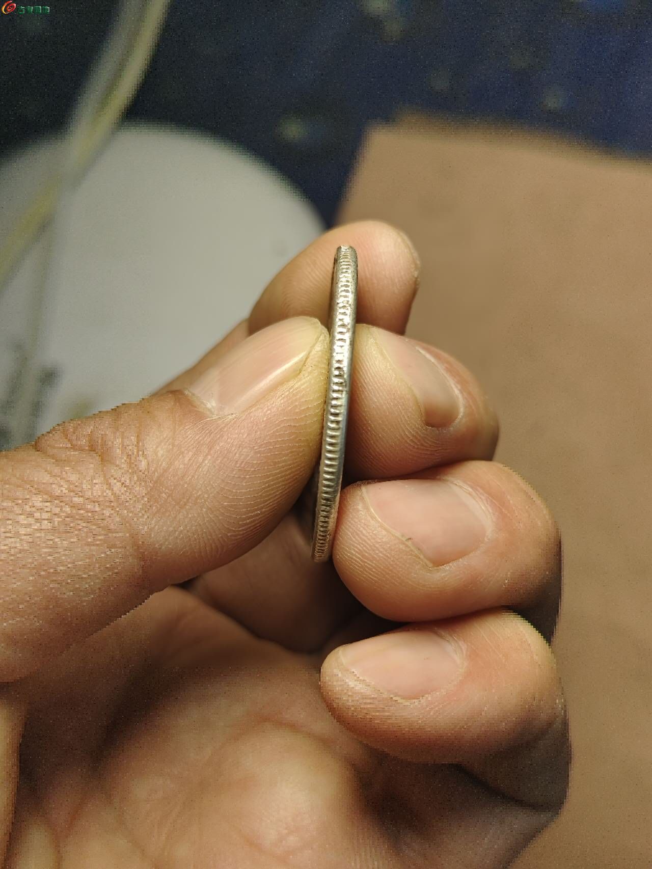 47773.jpg