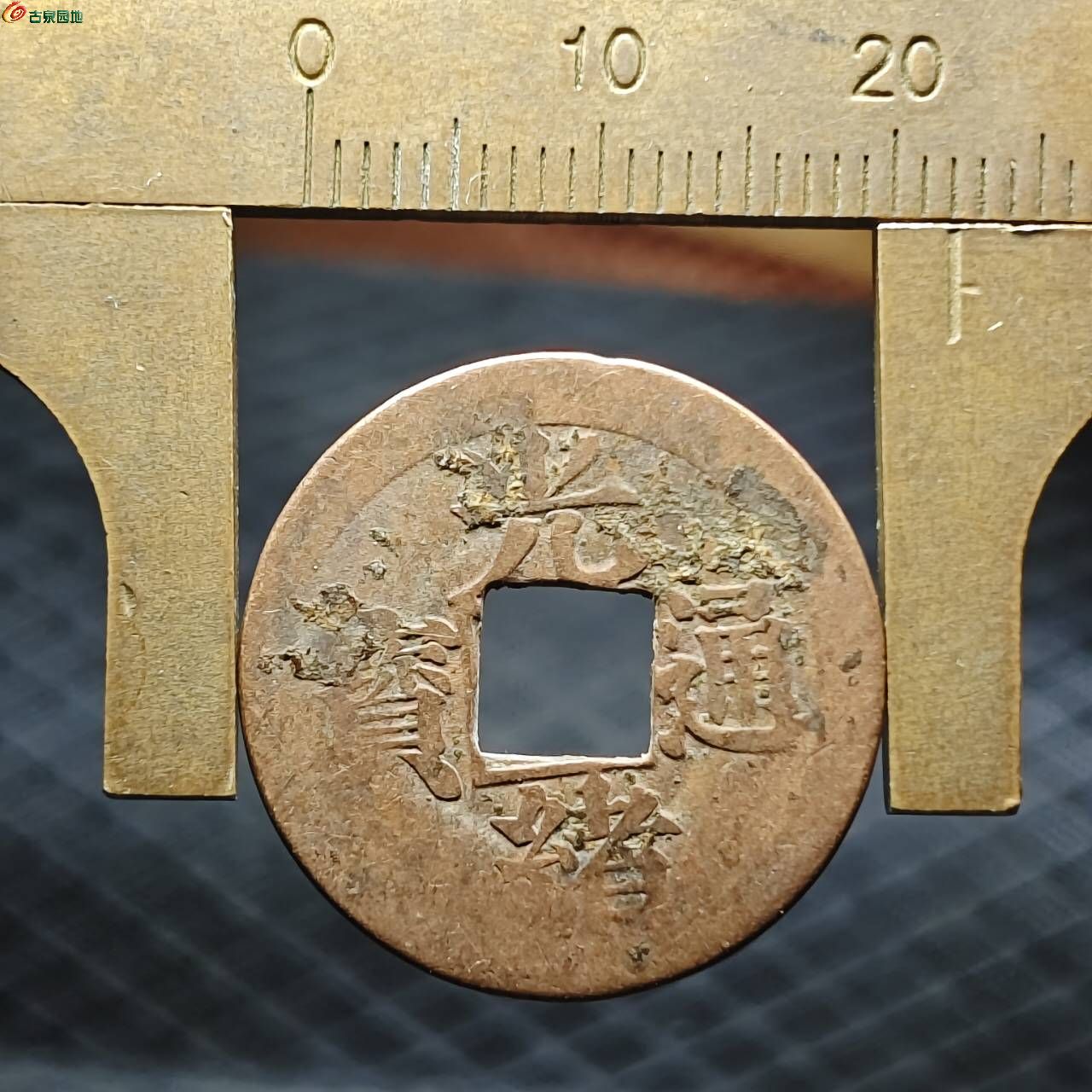 48963.jpg