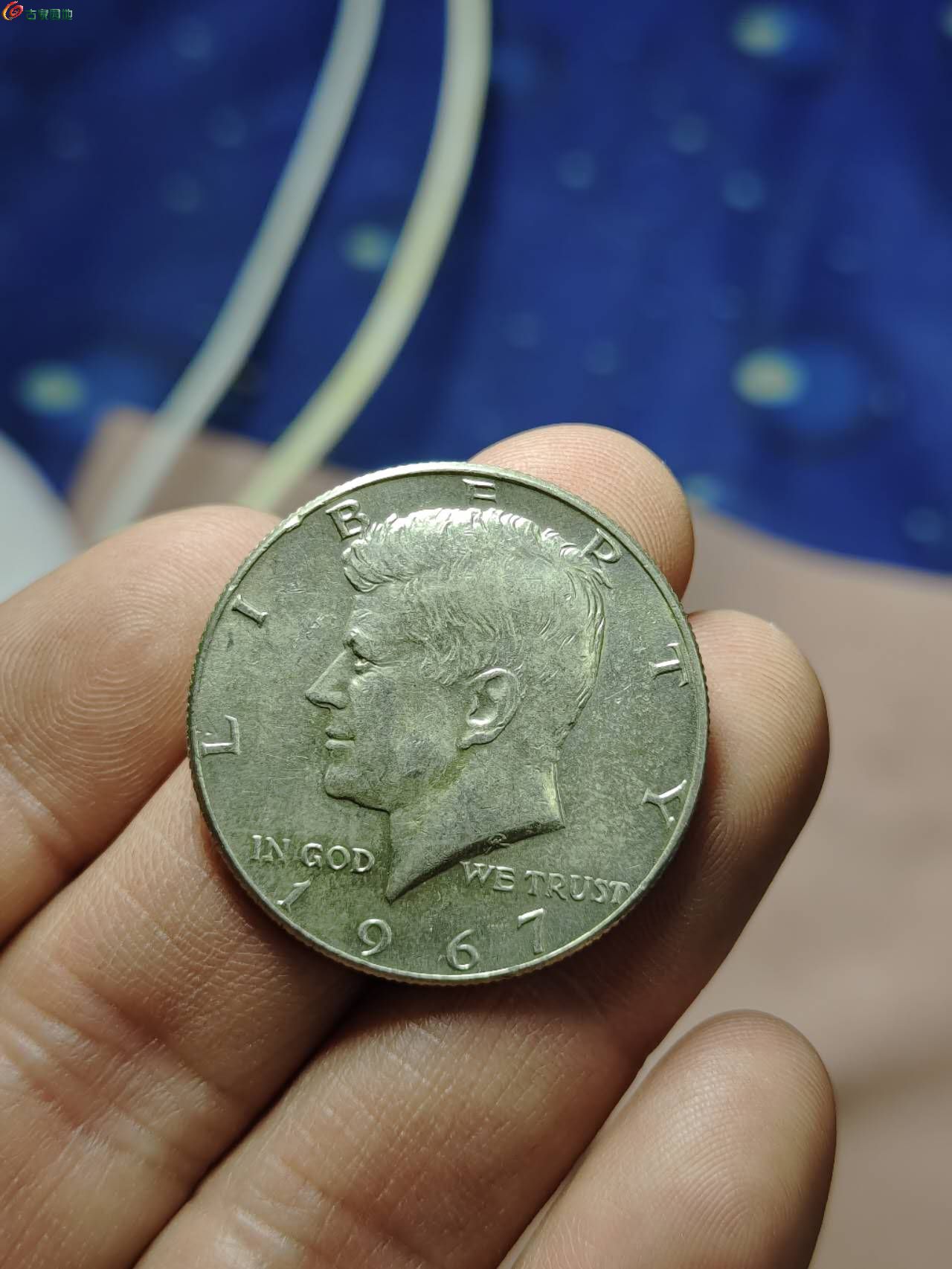 74366.jpg