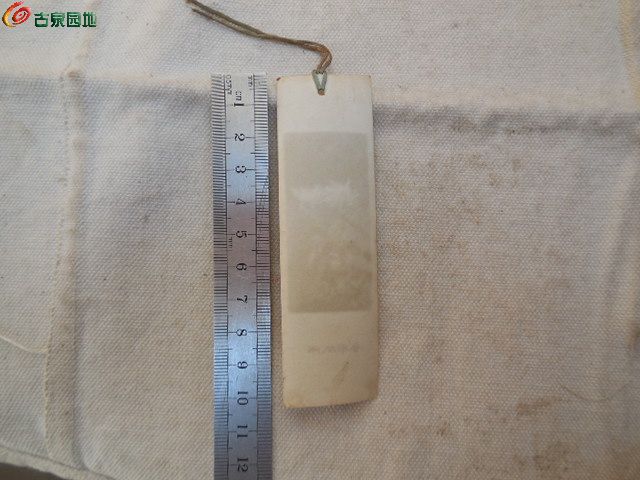 DSCN2010.JPG