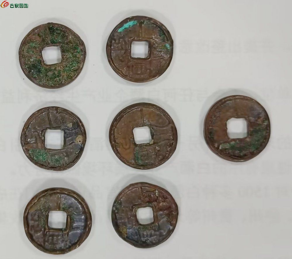 小泉直一 (2).jpg