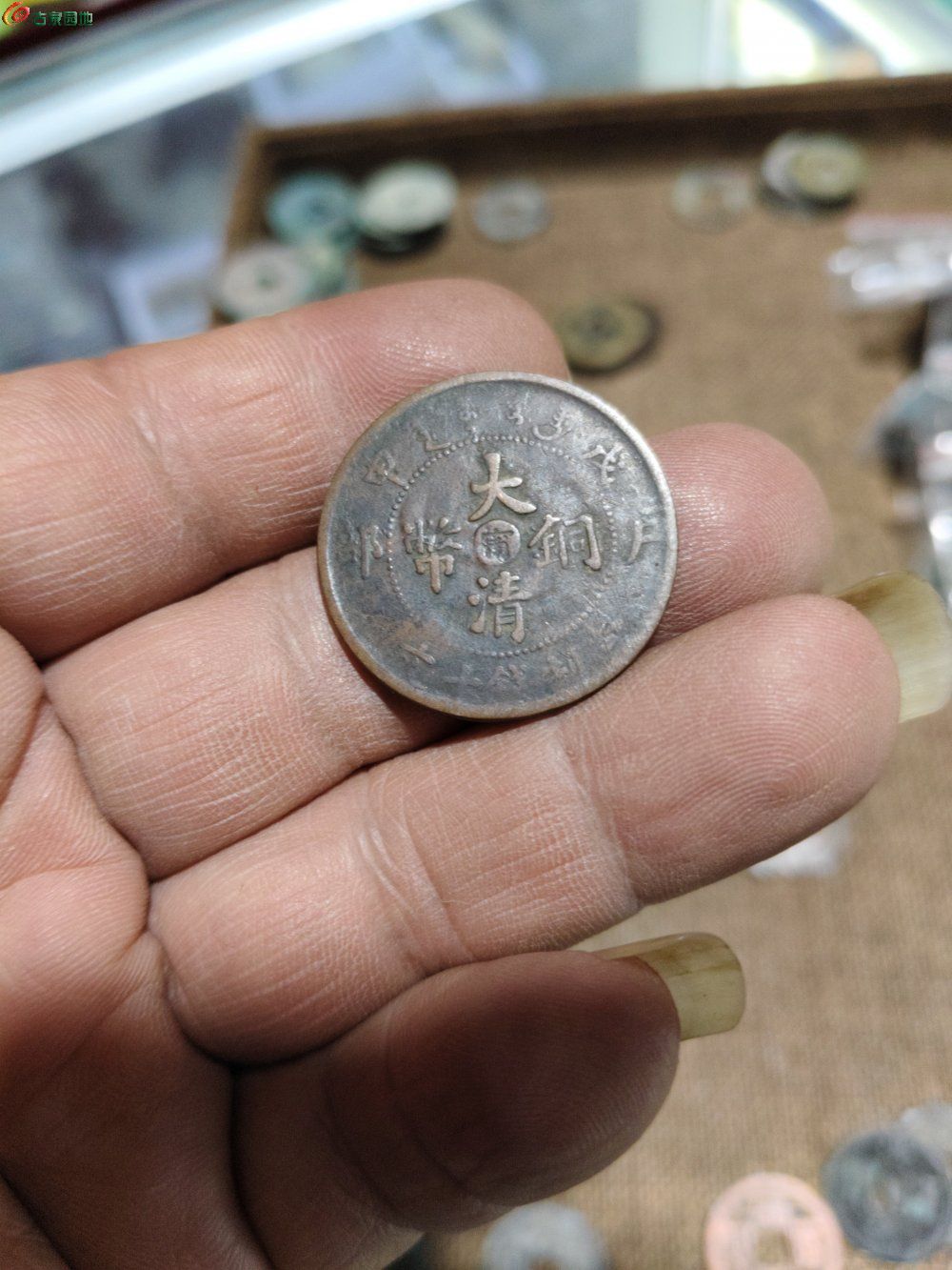 1772162444348.jpg
