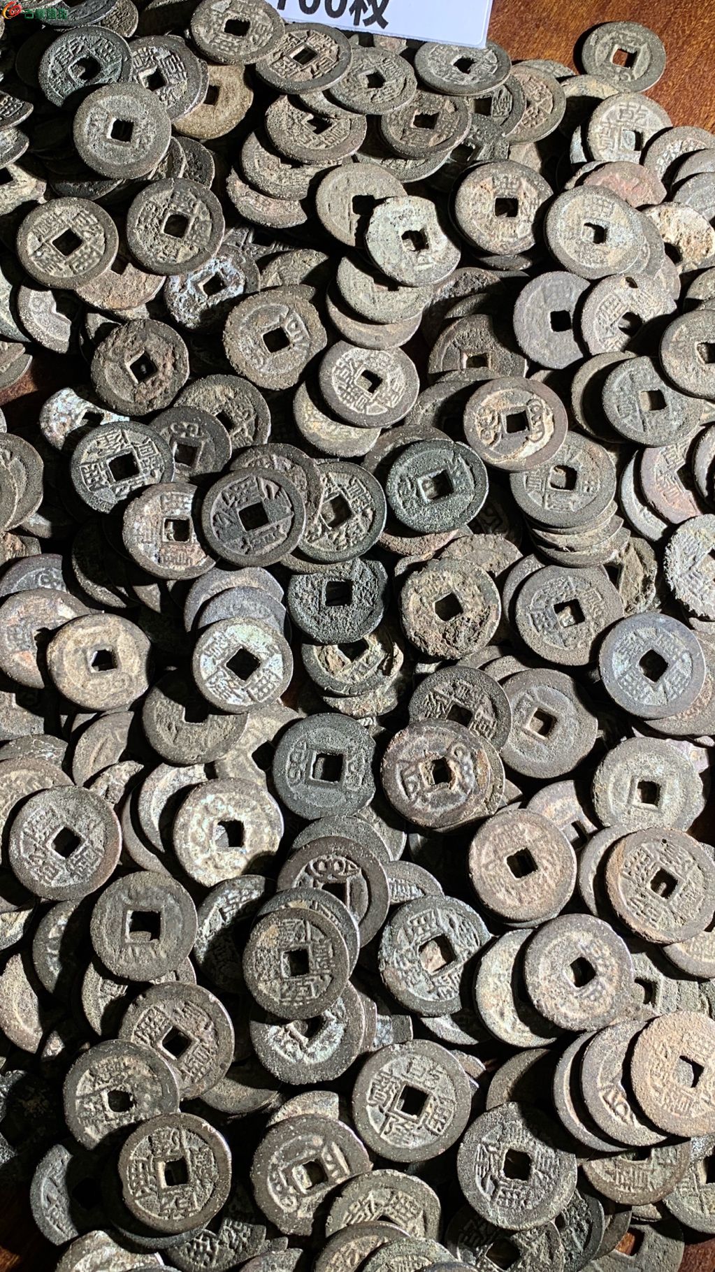 1772184355140.xfile.jpg