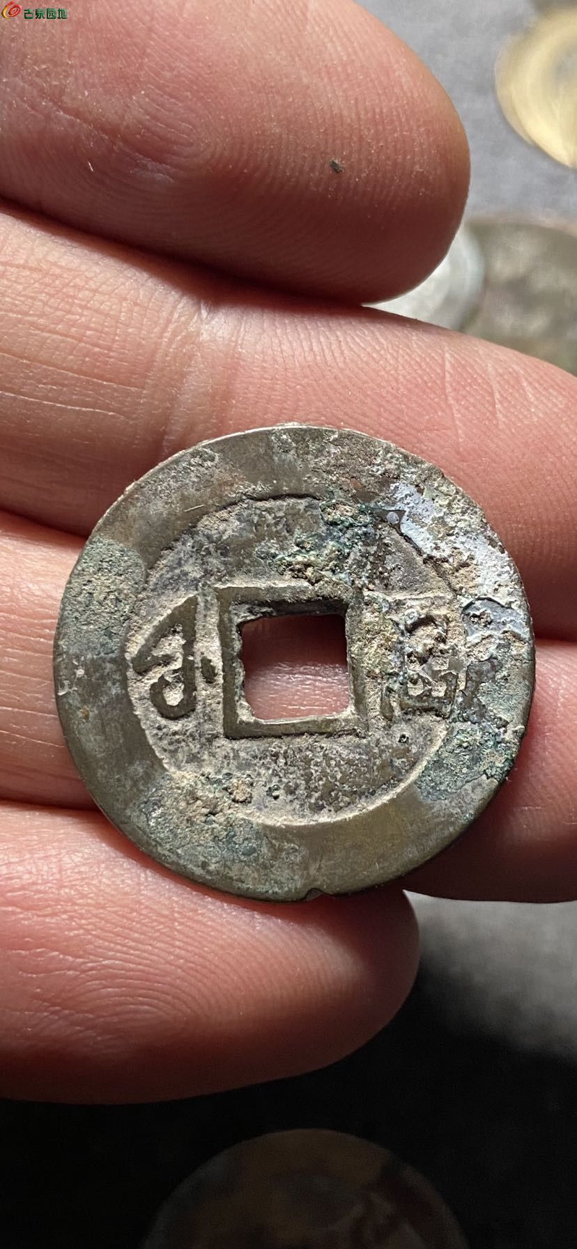 85206.jpg