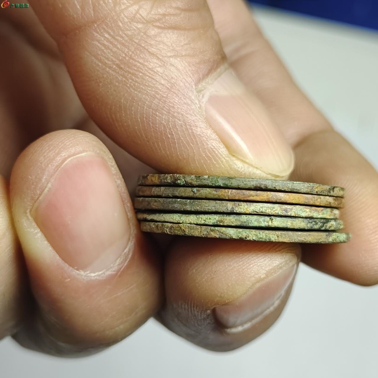37415.jpg