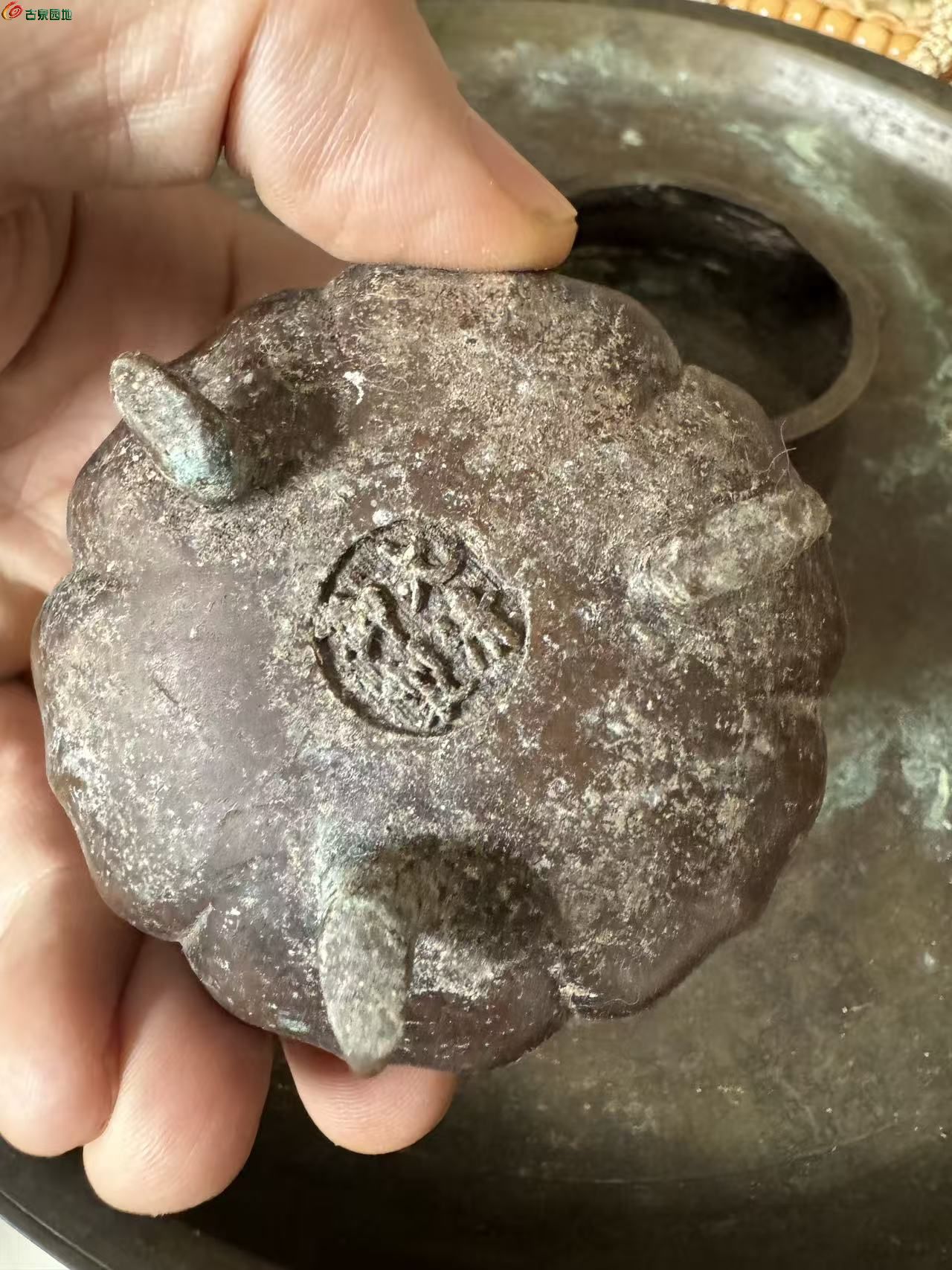 微信图片_20260307133955_8_2.jpg