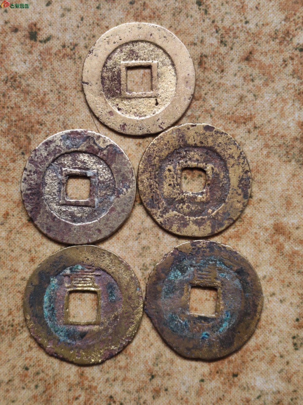 1773210367100.jpg