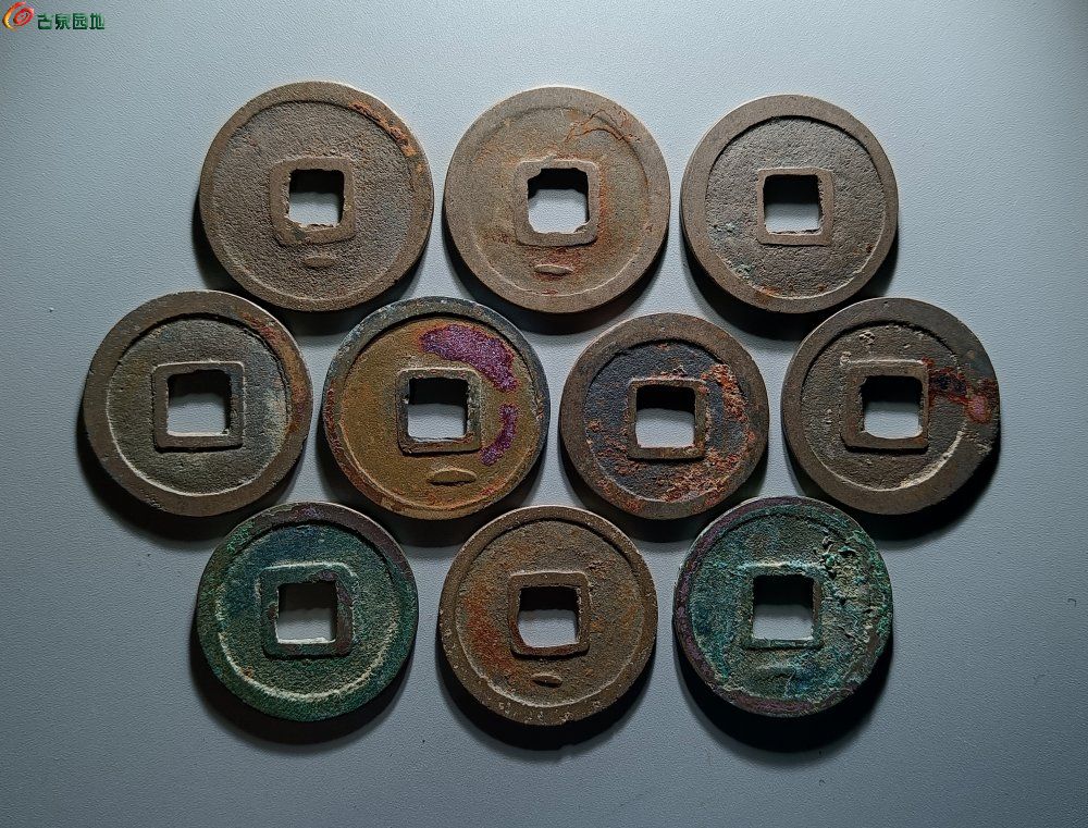 IMG_20260210_123229_edit_295961145039023