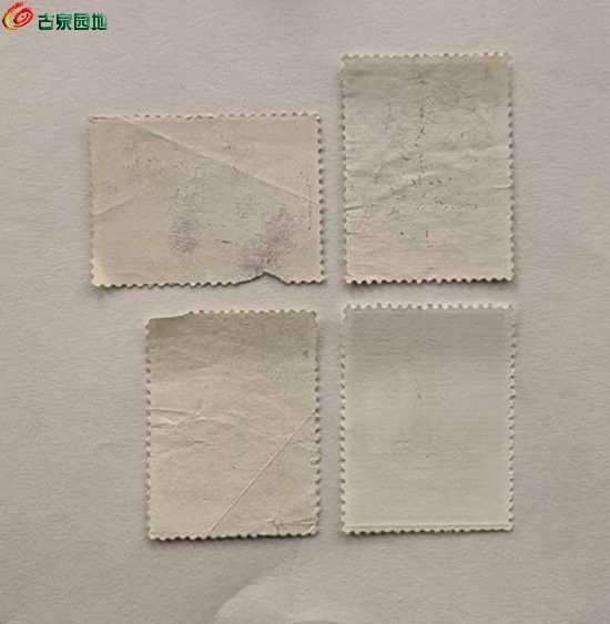 微信图片_20251119214943_2_1_副本.jpg