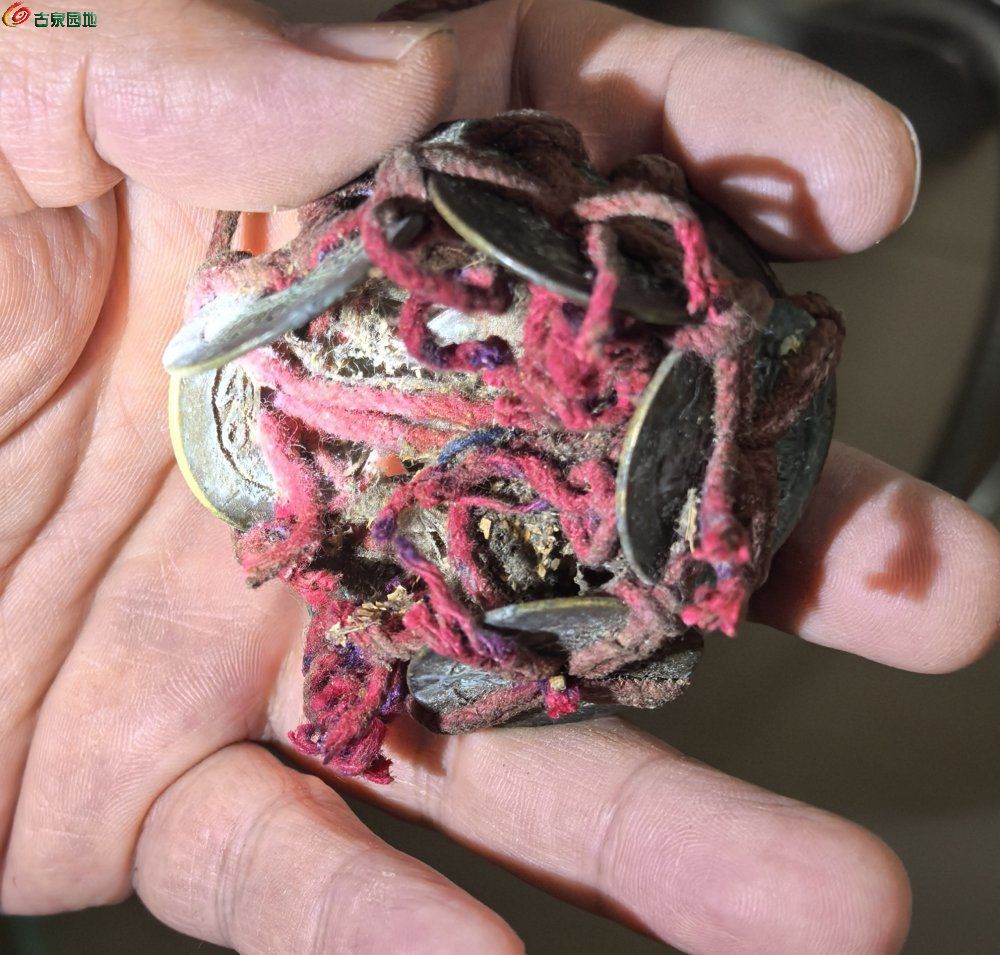 1cbca58cb2c2284dfd99d8a7334a5ee1.jpg