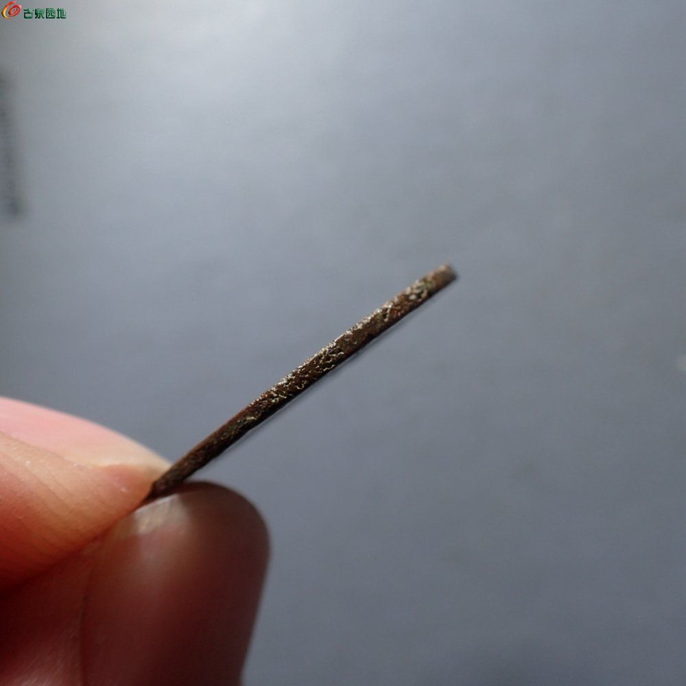 P1220126.JPG