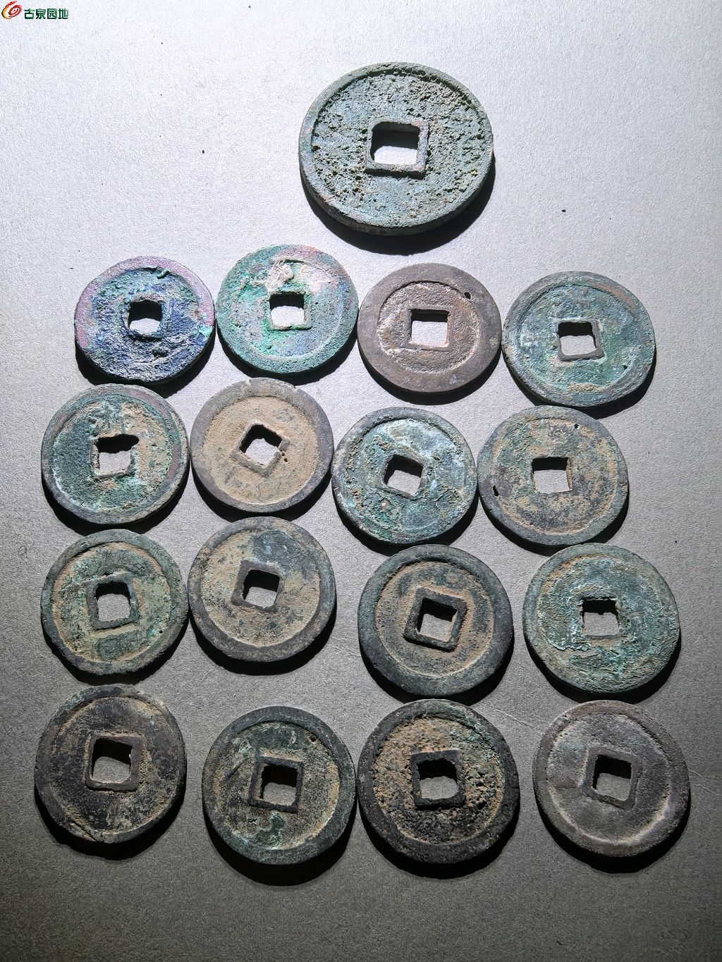 1774100411931.xfile.jpg