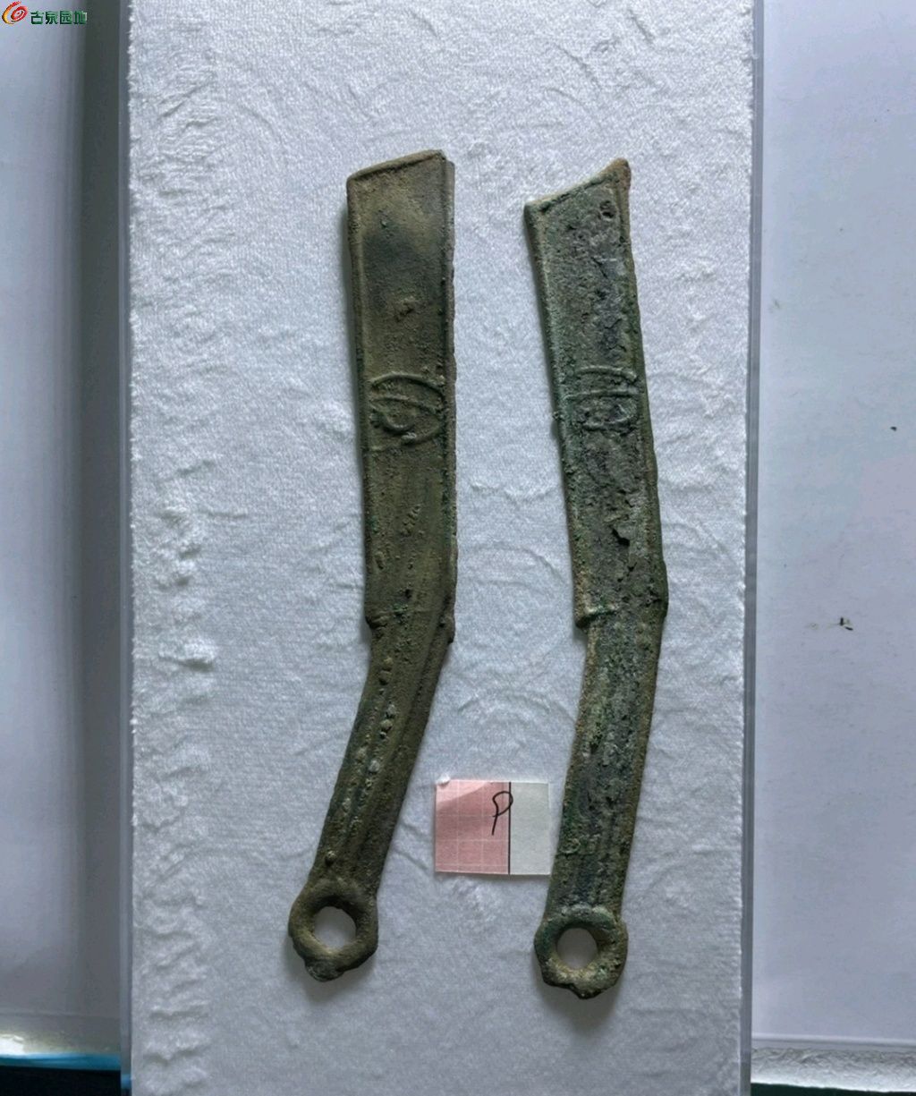 1774253780346.xfile.jpg