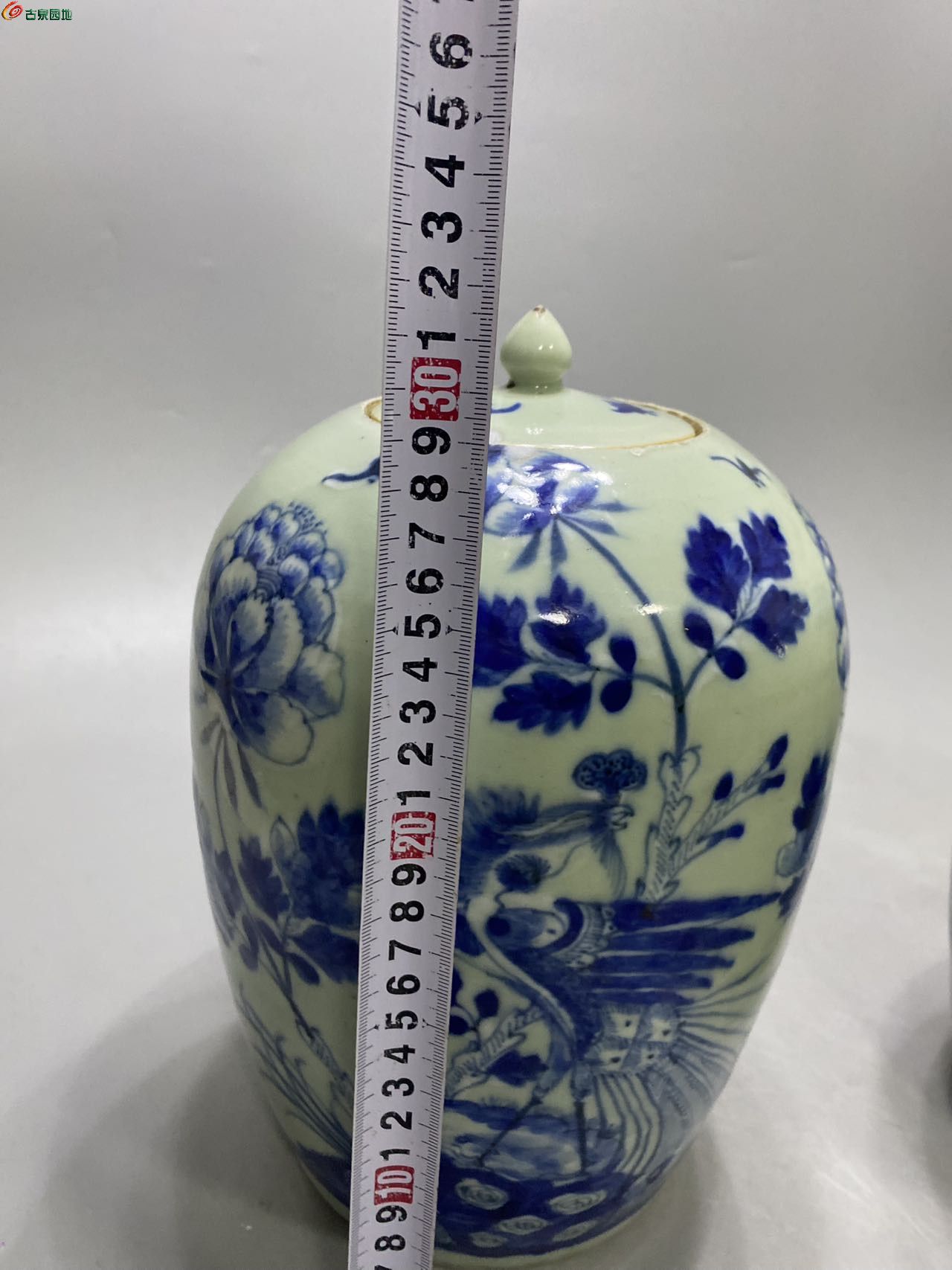 43211.jpg