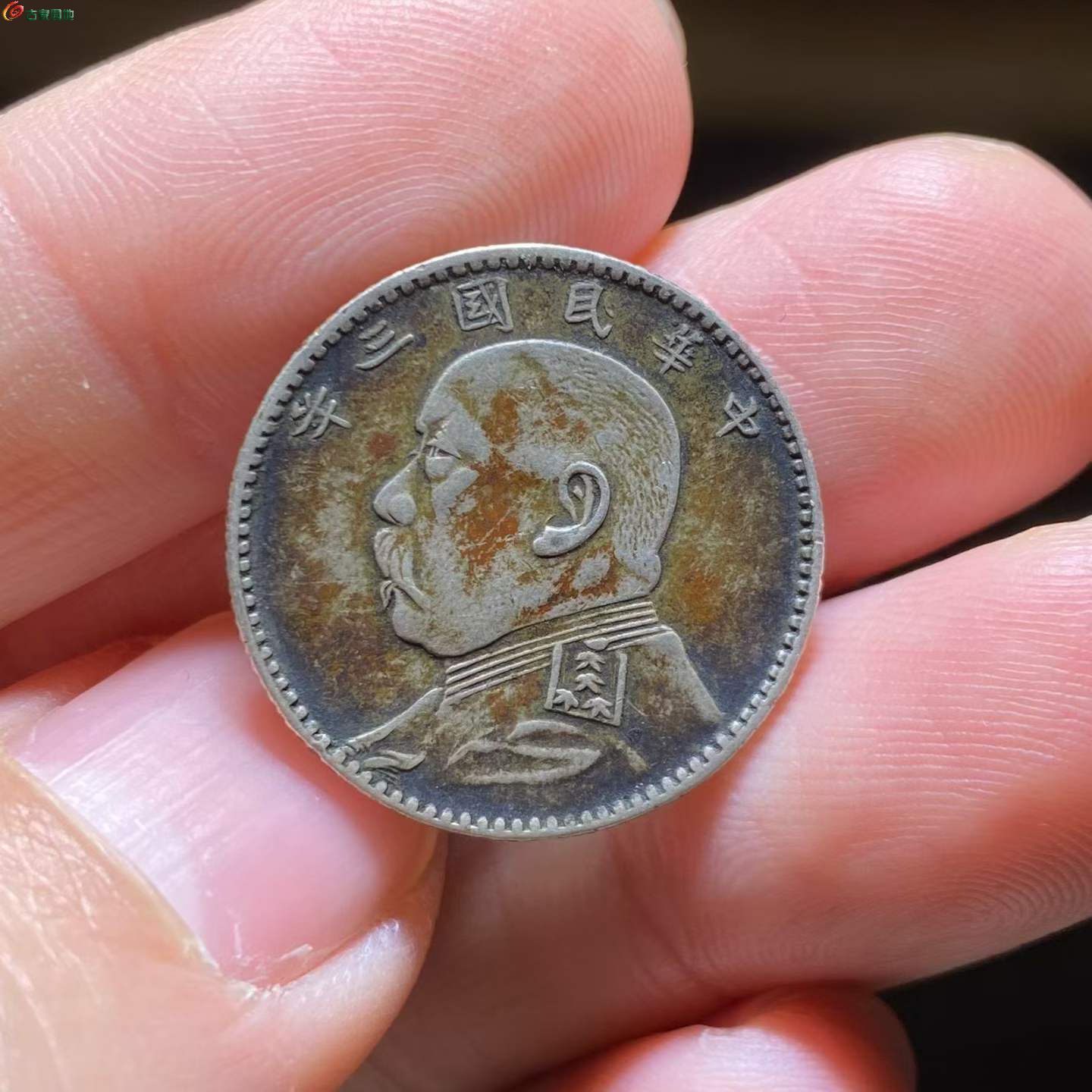 兩芈^ 2026-03-03 14.46.06.jpeg