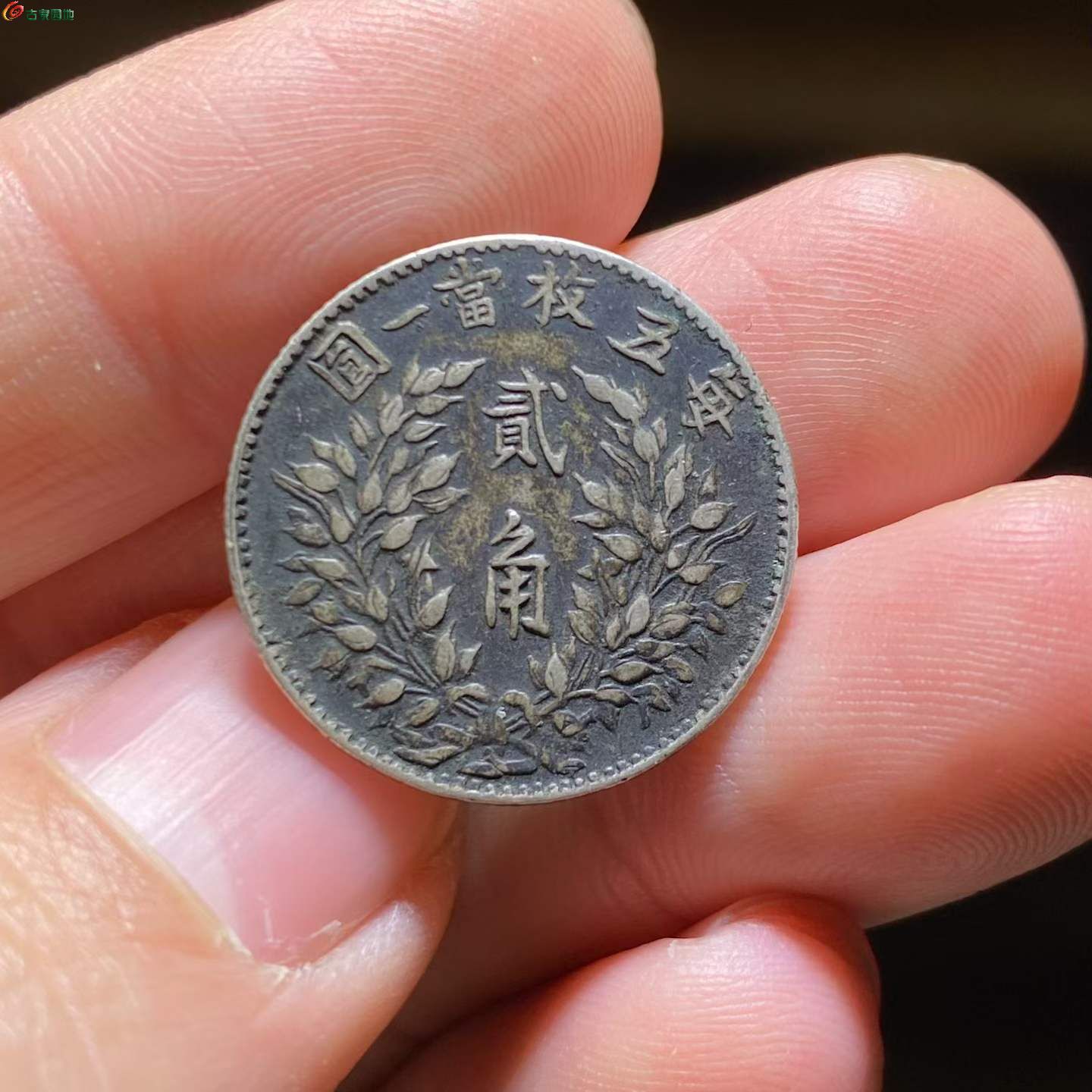 兩芈^ 2026-03-03 14.46.08.jpeg