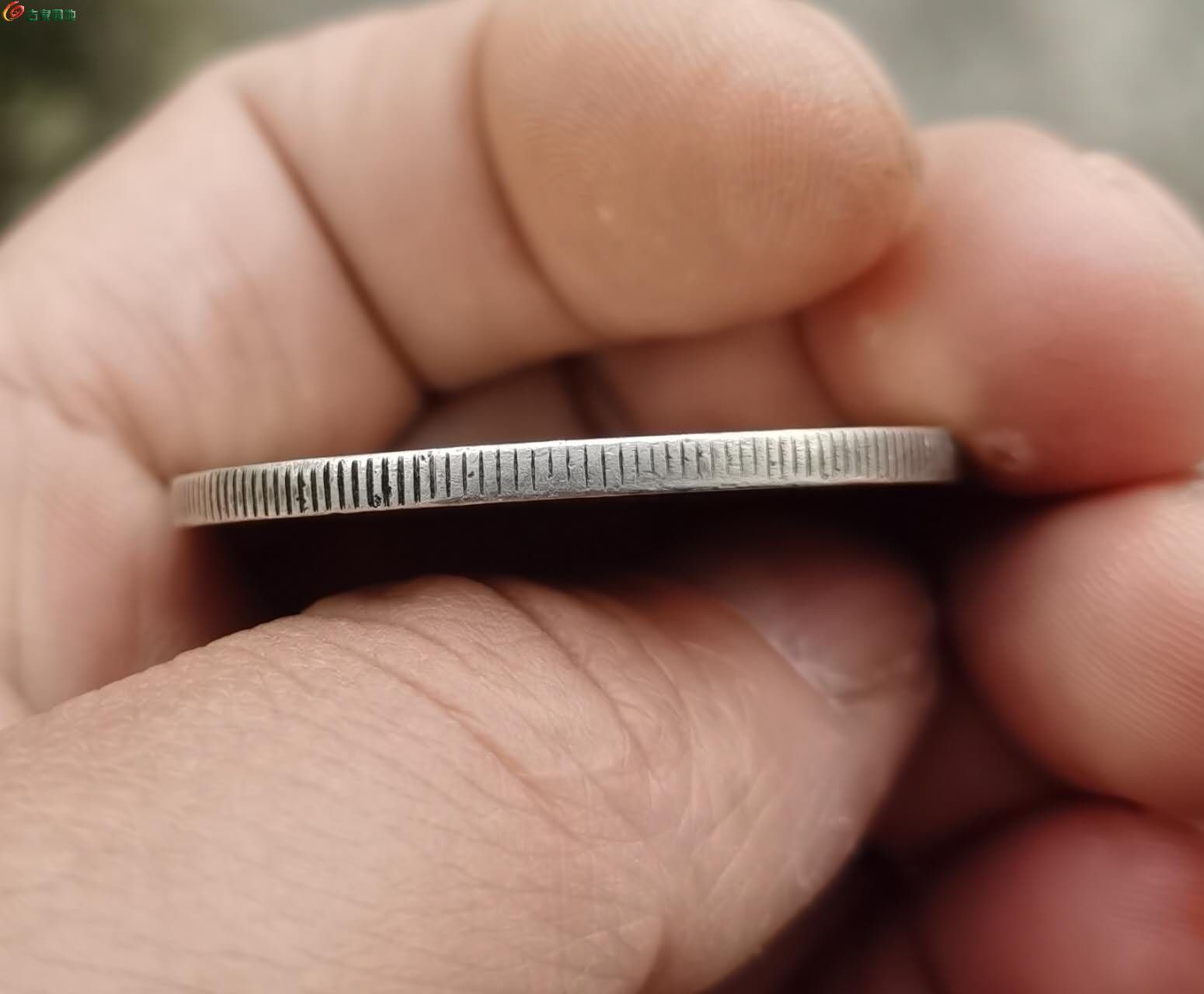 46980.jpg